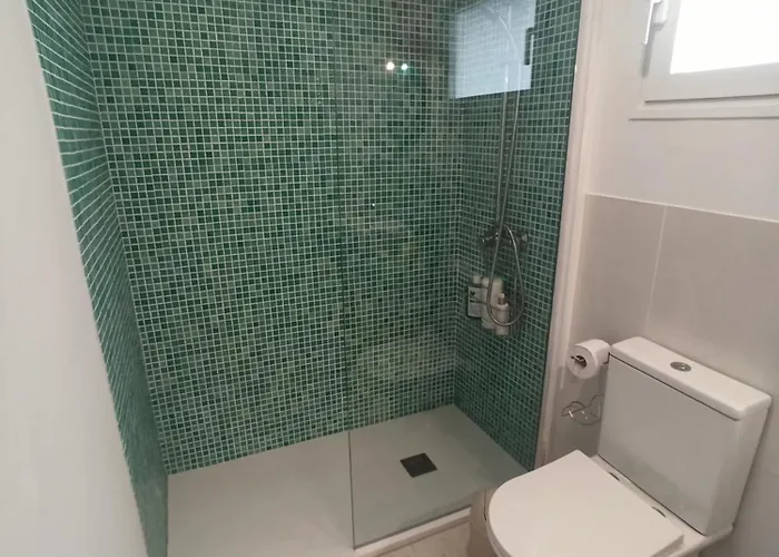 Cactus * באיאמר